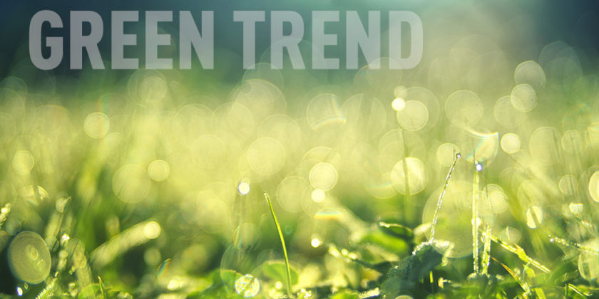 trend green e salutista