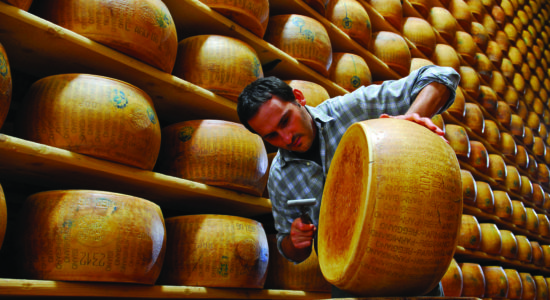 parmigiano reggiano