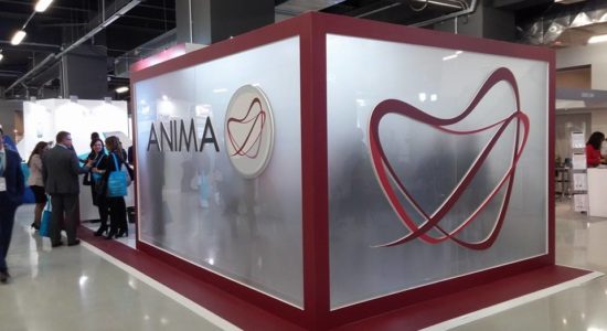 anima
