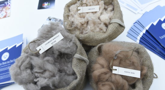 cashmere