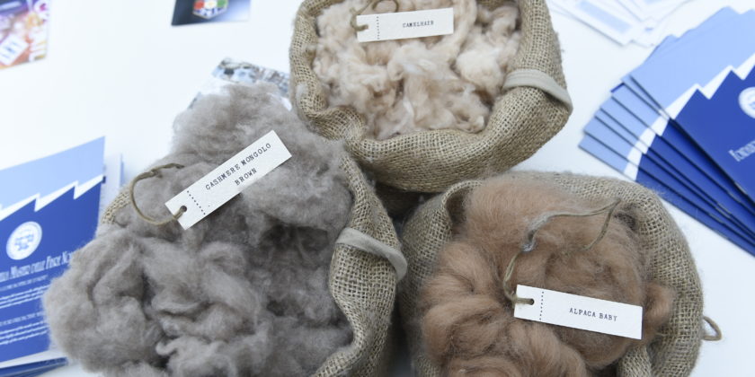 cashmere