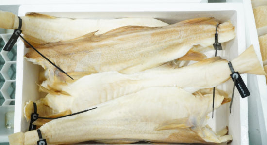 stoccafisso merluzzo