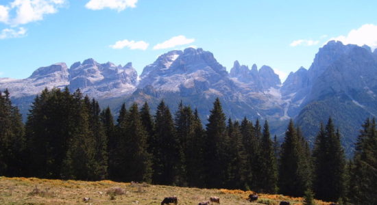Dolomiti