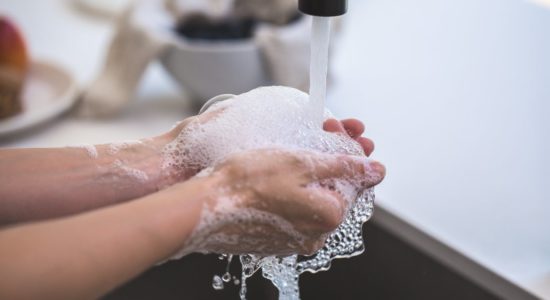 Lavati immediatamente le mani se li hai toccati: ecco di cosa stiamo parlando