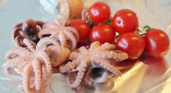 calamari