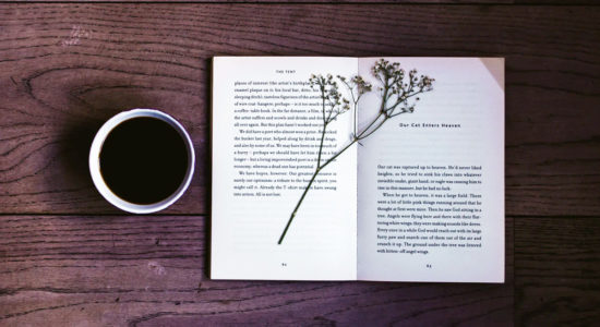 classici della letteratura