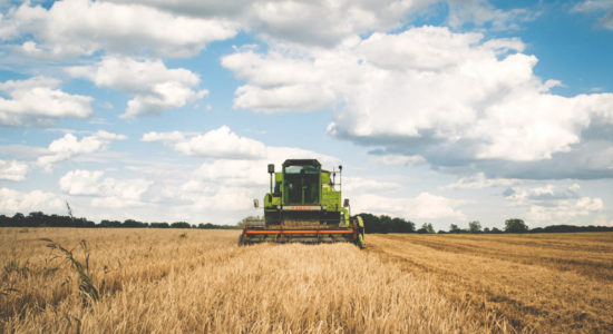 Impresa agricola