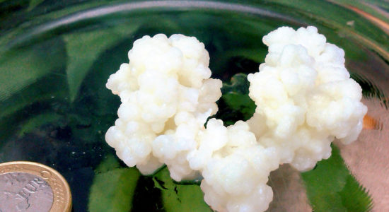 kefir