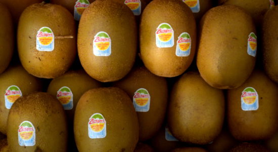 kiwi