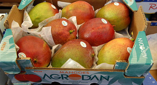 mango