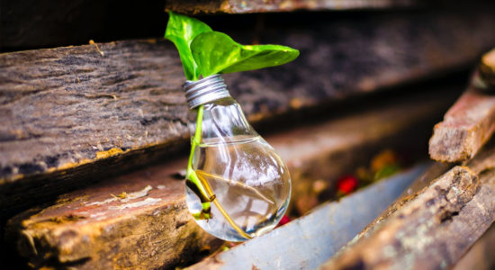 Voucher 3i innovazione
