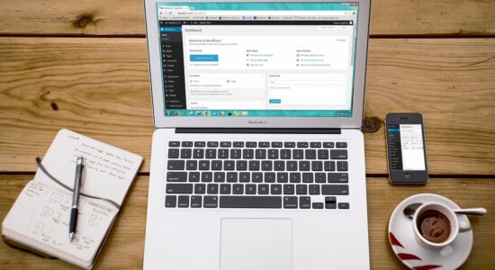 3 semplici sistemi per guadagnare da casa con il web-proiezionidiborsa.it