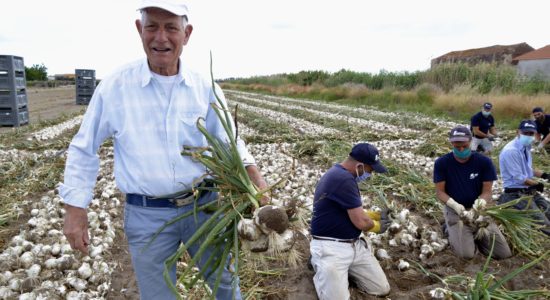 agricoltori