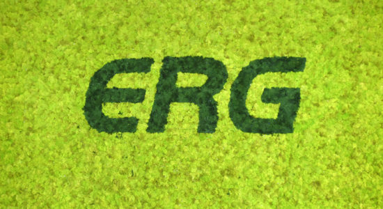 ERG