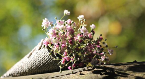 fiori, respiro