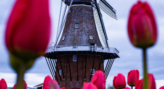 Olanda