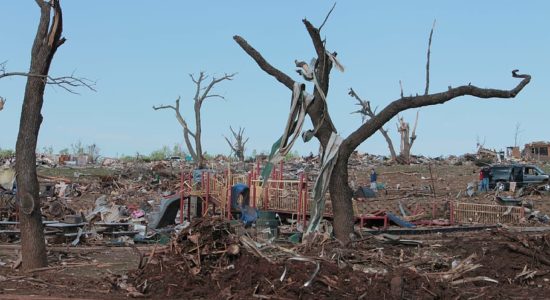 disastro ambientale,assicurazione