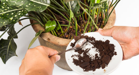 Fertilizzanti naturali