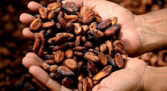 cacao, caffè
