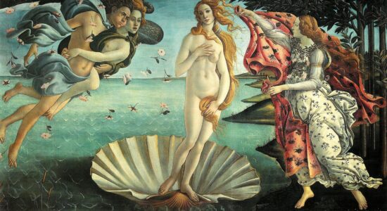 fossette, Venere