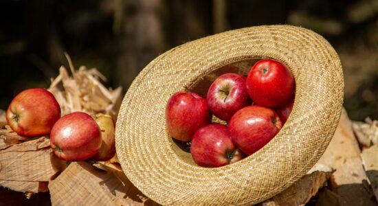 buccia, cottura, ingredienti