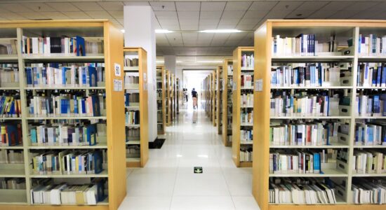 human, library, libri, biblioteca