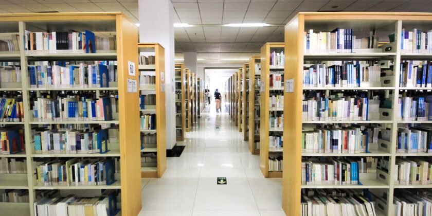 human, library, libri, biblioteca