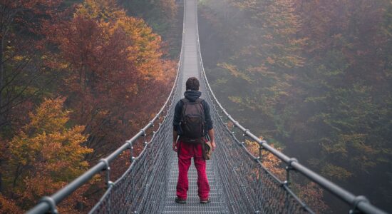 ponte, lungo, mondo