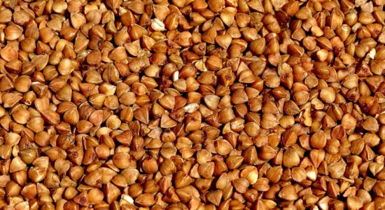 grano, saraceno
