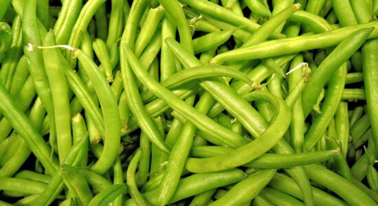 fagiolini