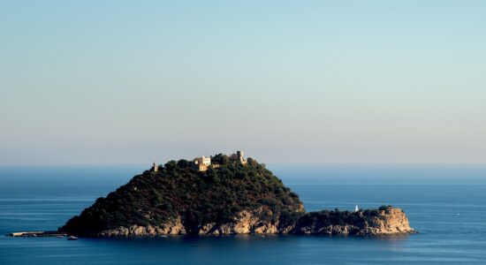 Gallinara