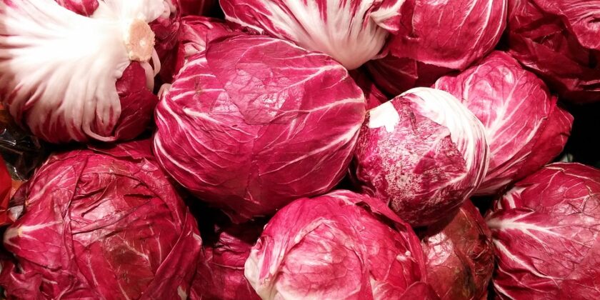 radicchio rosso