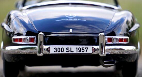 targa estera