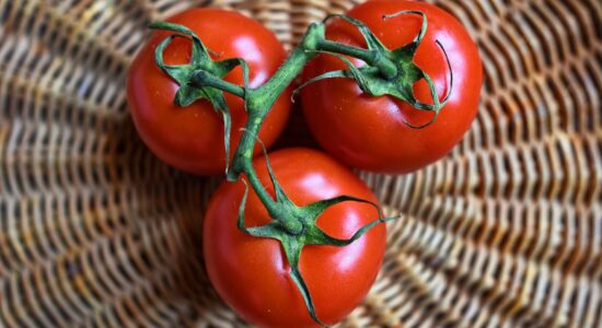 pomodori