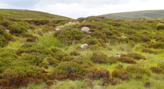 Highlands