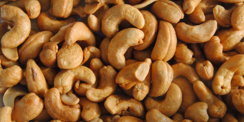 anacardi