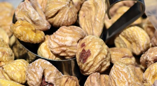 castagne