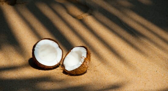 cocco