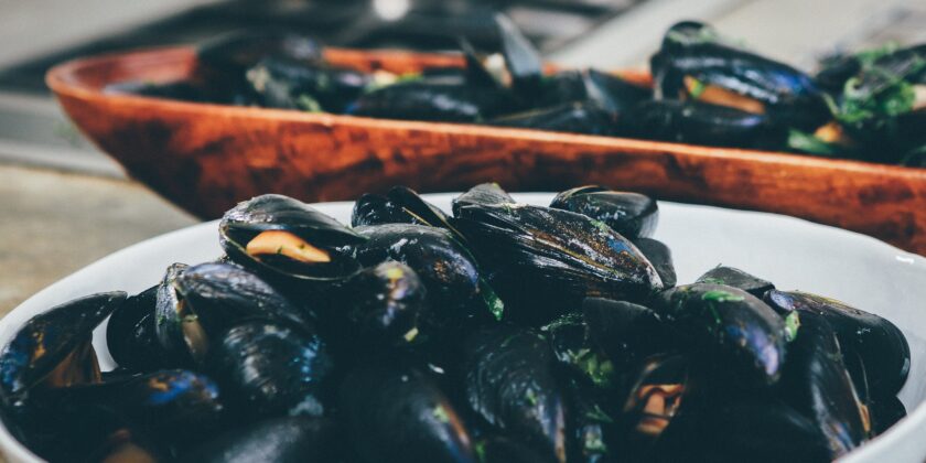 cozze