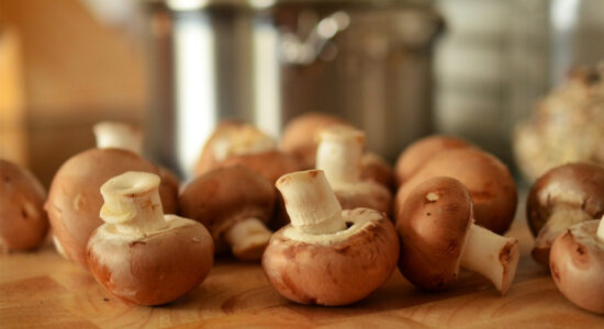 besciamella ai funghi