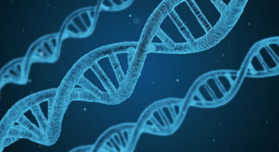 genetiche