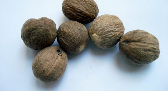 moscata