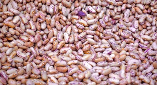 fagioli