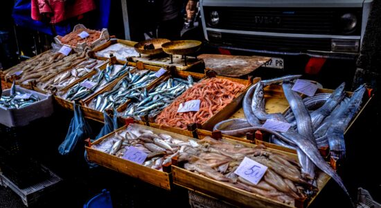 alimenti