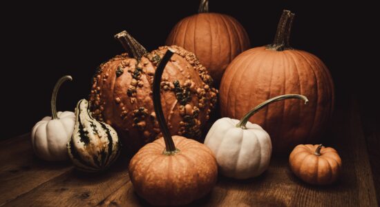 zucca