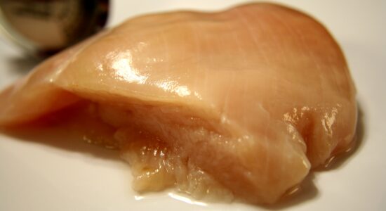 pollo