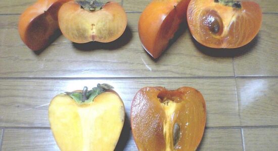frutto