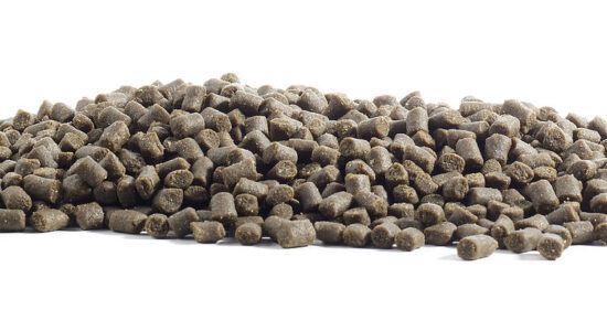 pellet