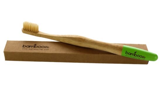 bamboo