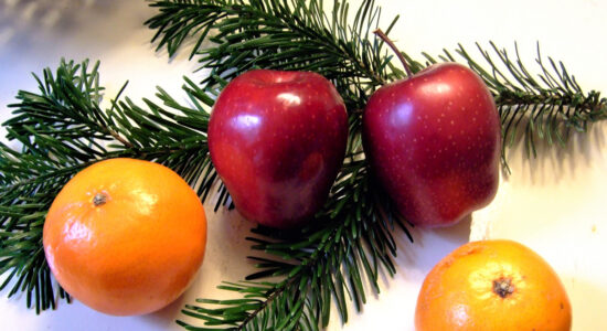 albero di Natale a costo zero